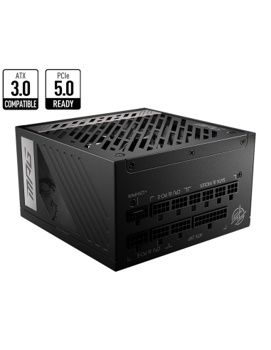 PSU MSI MPG A1000G PCIE5